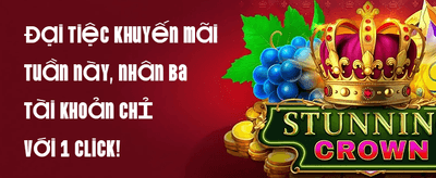 Hoàn Trả VIP Hàng Tuần